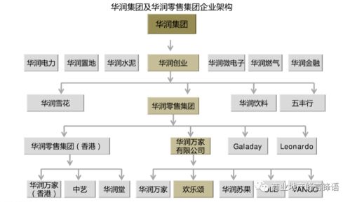 华润三大城市综合体商业模式简析